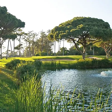 Marina Plaza - T1 Vilamoura *